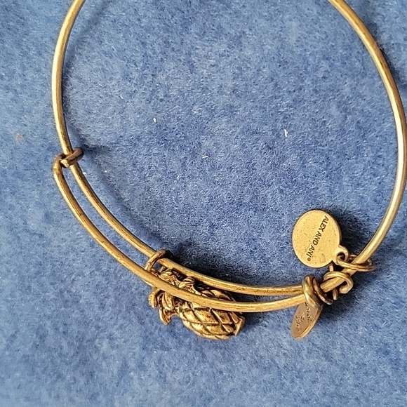 Alex and Ani - Pineapple Lovers Bracelets Lot of 2 - Picture 7 of 7